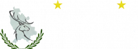 Instituto Dylan